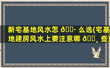 新宅基地风水怎 🌷 么选(宅基地建房风水上要注意哪 🕸 些)